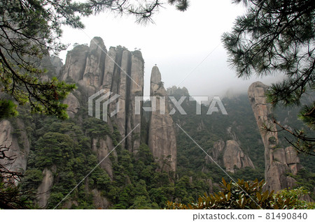 Sanqingshan Mountain in Jiangxi Province, China. Misty mountain scenery with rocky peaks on Mount Sanqing. Sanqingshan is a sacred Taoist mountain famous for its rocky outcrops and lush forests. 81490840