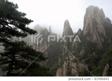 Sanqingshan Mountain in Jiangxi Province, China. Misty mountain scenery with rocky peaks on Mount Sanqing. Sanqingshan is a sacred Taoist mountain famous for its rocky outcrops and lush forests. 81490841