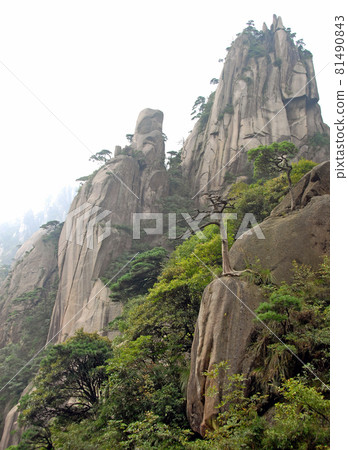 Sanqingshan Mountain in Jiangxi Province, China. Misty mountain scenery with rocky peaks on Mount Sanqing. Sanqingshan is a sacred Taoist mountain famous for its rocky outcrops and lush forests. 81490843