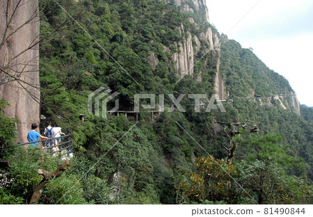 Sanqingshan Mountain in Jiangxi Province, China. People walking along a path clinging to the cliff high up on Mount Sanqing. Sanqingshan is a Taoist mountain famous for its peaks and forests. 81490844