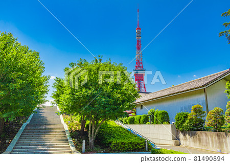 [Tokyo cityscape] Tokyo Tower (Shiba Park) 81490894