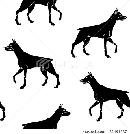 Vector seamless pattern of black doberman-插圖素材 [81491387] - PIXTA圖庫