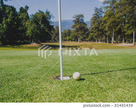 Photo of white golf ball on grass with hole and blue sky background 81491439