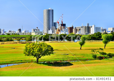 View around Kanamachi Station over the Edo River (Katsushika-ku, Tokyo) [2020.10] 81491451