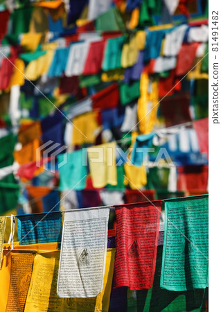 Buddhist prayer flags lunga in McLeod Ganj, Himachal Pradesh, India Buddhist prayer flags lunga in McLeod Ganj, Himachal Pradesh, India 81491482