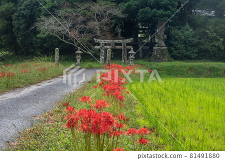 守村人秋 81491880