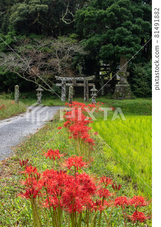 守村人秋 81491882