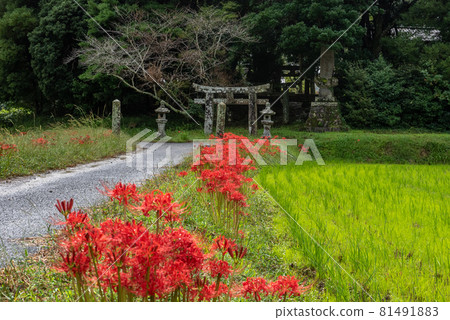 守村人秋 81491883