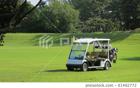 清晰的高爾夫球場球道和高爾夫球車 81492772