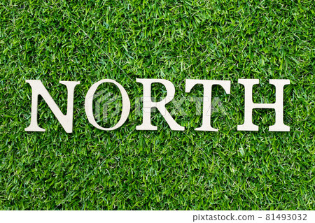 Wood alphabet letter in word north on green grass background Wood alphabet letter in word north on green grass background 81493032
