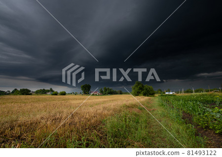 The Summer countryside landscape with a thundercloud 81493122