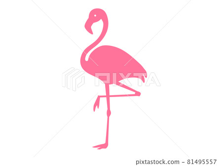 粉紅色火烈鳥的矢量圖解 81495557