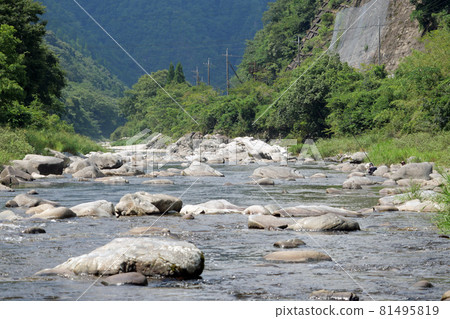 Takatsu River in summer Takatsu River in summer 81495819