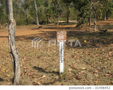 前往柬埔寨和本梅里亞途中的風景。 (注意地雷) 前往柬埔寨和本梅里亞途中的風景。 (注意地雷) 81496952