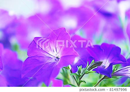 Pastel style "petunia flower" illustration image Pastel style "petunia flower" illustration image 81497996