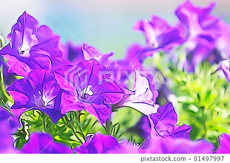 Pastel style "petunia flower" illustration image 81497997