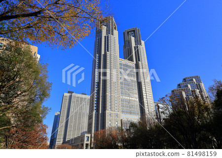 Cityscape of Nishi-Shinjuku, Tokyo Skyscrapers and autumn leaves Cityscape of Nishi-Shinjuku, Tokyo Skyscrapers and autumn leaves 81498159