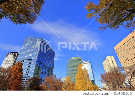 Cityscape of Nishi-Shinjuku, Tokyo Skyscrapers and autumn leaves 81498160