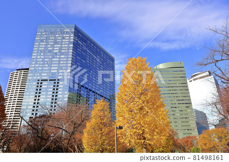 Cityscape of Nishi-Shinjuku, Tokyo Skyscrapers and autumn leaves 81498161