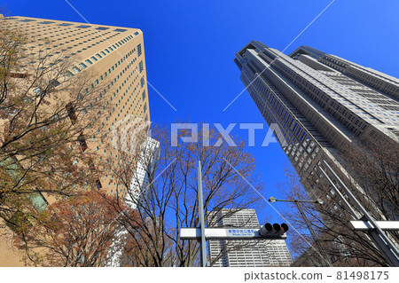 西新宿、東京摩天大樓和秋葉的城市景觀 西新宿、東京摩天大樓和秋葉的城市景觀 81498175