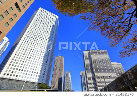 Cityscape of Nishi-Shinjuku, Tokyo Skyscrapers and autumn leaves Cityscape of Nishi-Shinjuku, Tokyo Skyscrapers and autumn leaves 81498176