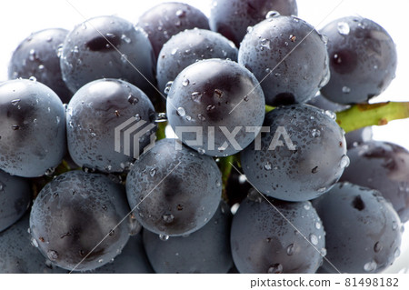 葡萄 (Fuji Minoru) 起來。 81498182