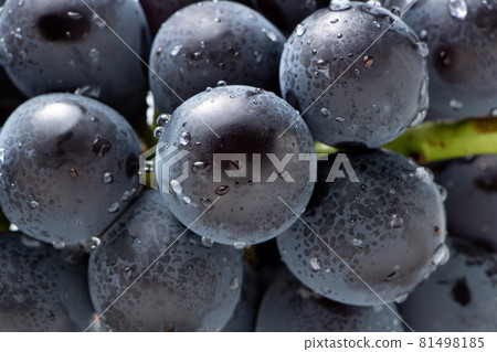 Grape (Fuji Minoru) up. 81498185