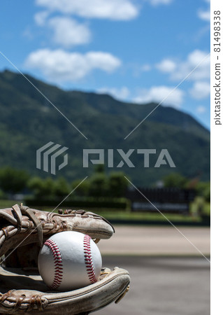 Summer ballpark 81498338