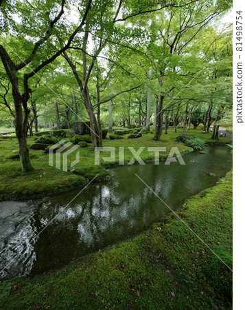 Mossy Shozan Resort Garden 81498754