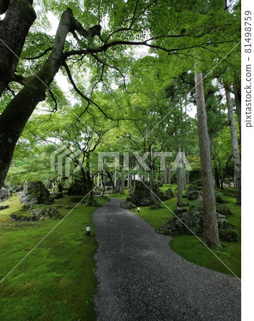 Green path in the garden of Shozan Resort 81498759