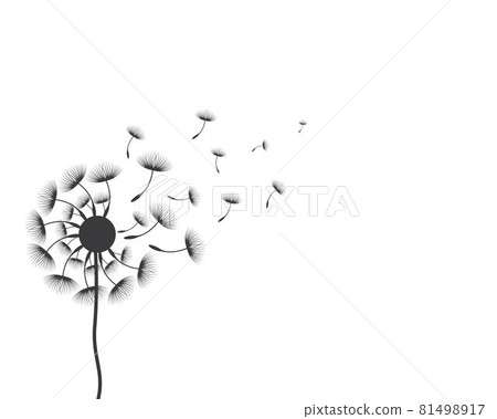 Dandelion vector illustration Dandelion vector illustration 81498917
