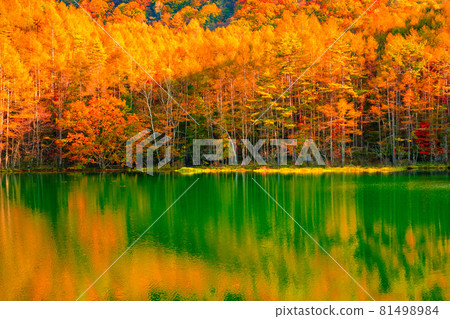 Mishakaike (Autumn) Mishakaike (Autumn) 81498984