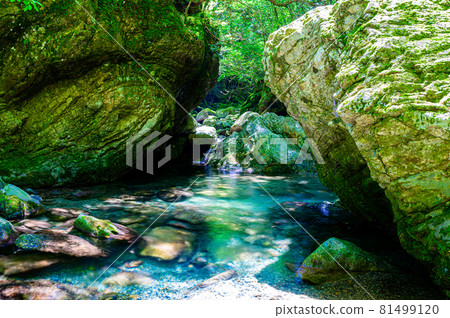 Clear water in the canyon Clear water in the canyon 81499120