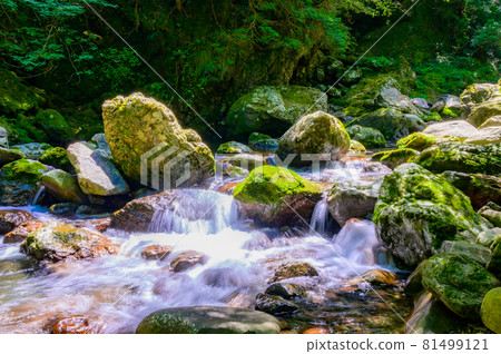 Rich water source Rich water source 81499121
