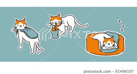 Cat clothing, food and housing (simple) 81499197