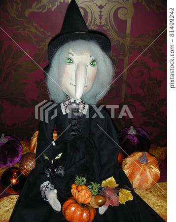 Halloween witch doll up 81499242