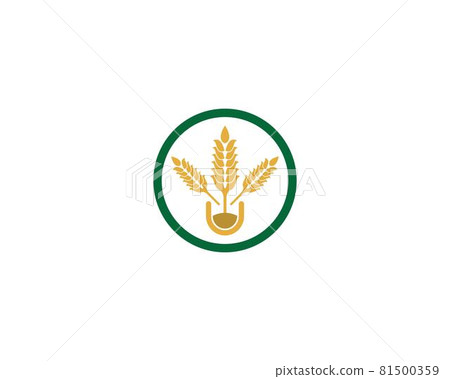Wheat vector icon illustration 81500359
