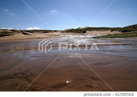 Tottori four seasons walk autumn sand dunes Tottori four seasons walk autumn sand dunes 81500568