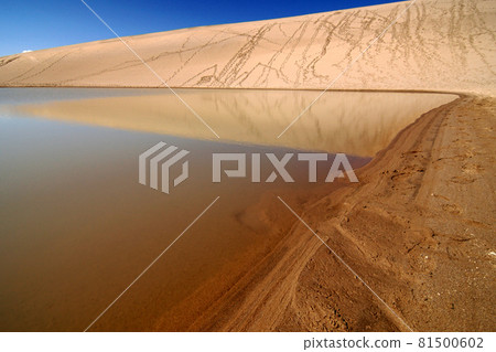Tottori four seasons walk autumn sand dunes Tottori four seasons walk autumn sand dunes 81500602