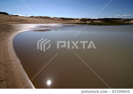Tottori four seasons walk autumn sand dunes Tottori four seasons walk autumn sand dunes 81500603
