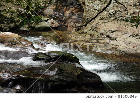 岩石和峽谷滑翔峽谷 81500849