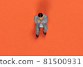 Male doll bird's-eye view 81500931