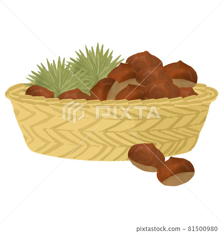Autumn taste with chestnut basket vector illustration 81500980