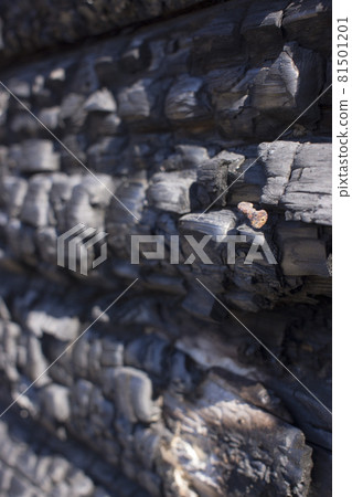 Natural fire ashes with dark grey black coals texture. It is a flammable black hard rock. copyspace Natural fire ashes with dark grey black coals texture. It is a flammable black hard rock. copyspace 81501201