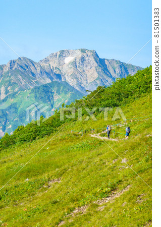 Summer Karamatsudake mountain climbing: Happoike Sanso-Happoike (Goryudake in the back) 81501383
