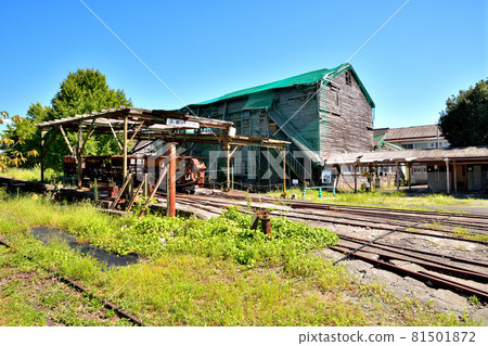 Omuta City Mikawa Remains 81501872