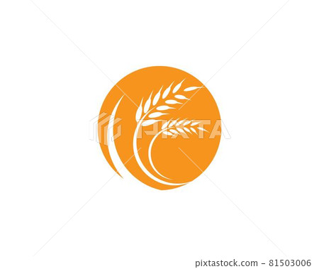 Agriculture wheat logo template 81503006