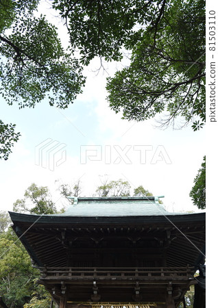 A shrine 81503110