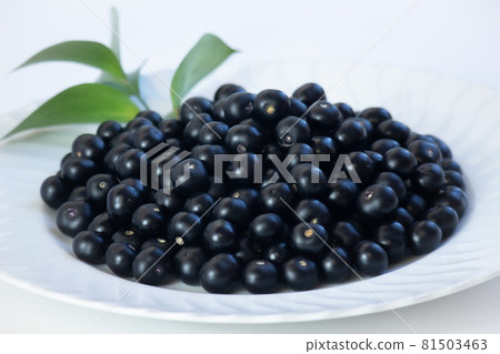 Huckleberry 03 81503463