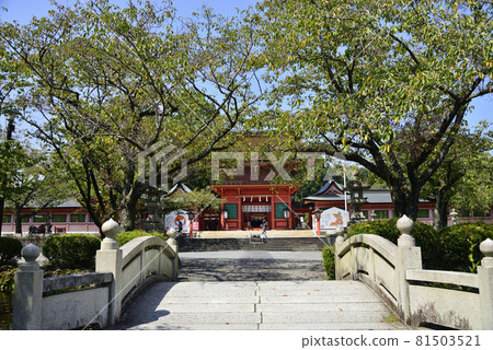 塔前的富士山本宮淺間大社 塔前的富士山本宮淺間大社 81503521